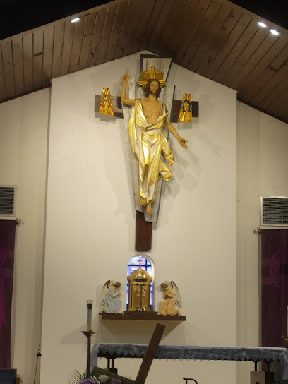 Our Lady of San Juan de los Lagos, Oak Cliff