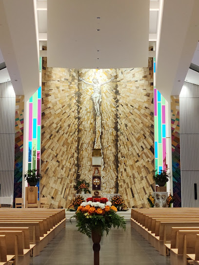 Protocatedral de San Patricio, San José