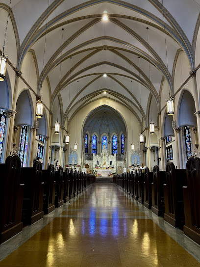 Catedral de San Pedro