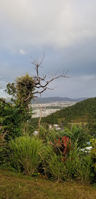 Santa Rosa de Lima
