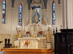 Catedral de la Inmaculada Concepción
