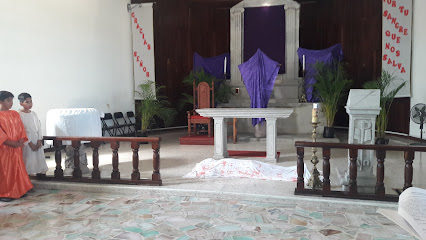 Parroquia de Nuestra Señora del Rosario de Talpa