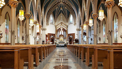 The Cathedral Parish