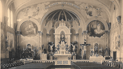 Our Lady Of The Mount Catholic Church (Our Lady, The Mystical Rose Parish)